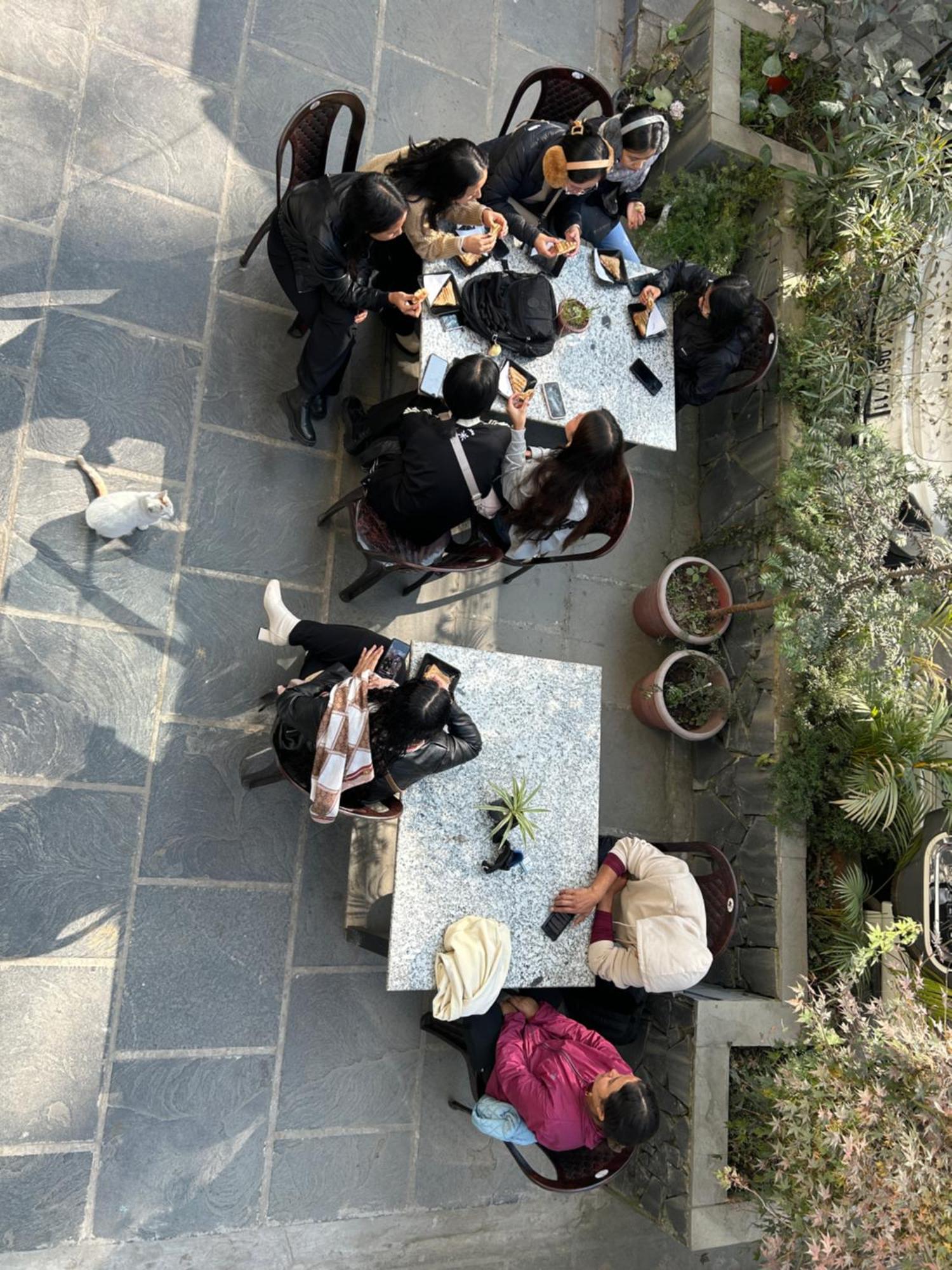 甘托克 House Of Nomad旅舍 外观 照片